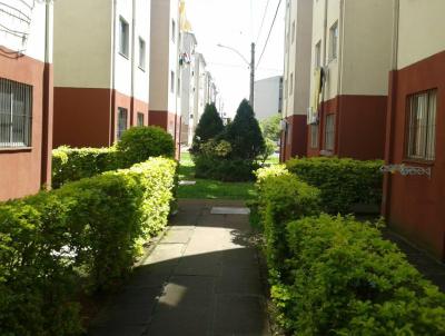 imagem-miniatura