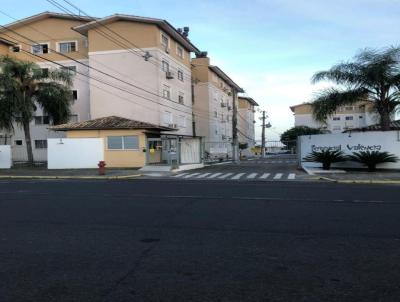 imagem-miniatura