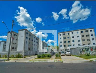 imagem-miniatura