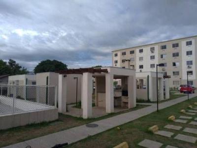 imagem-miniatura