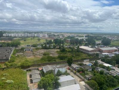 imagem-miniatura