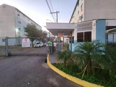 imagem-miniatura