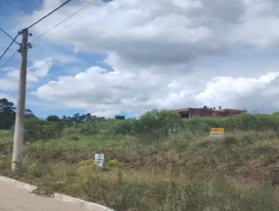 Terreno para Venda, em Nova Santa Rita, bairro Jardins