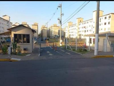imagem-miniatura