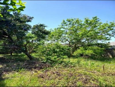 Terreno para Venda, em Canoas, bairro Niteri