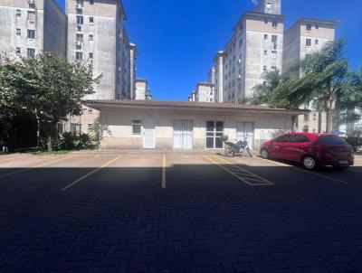 imagem-miniatura