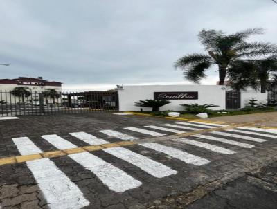 imagem-miniatura