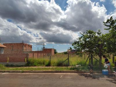 Terreno para Venda, em Canoas, bairro So Jos