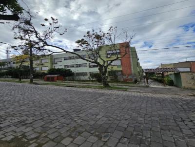 imagem-miniatura
