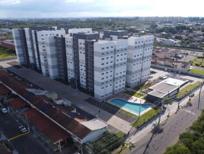 imagem-miniatura
