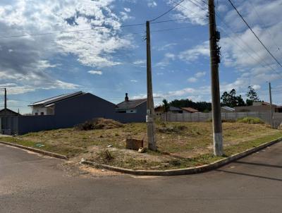 Terreno para Venda, em Canoas, bairro So Jos