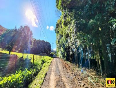 Terreno para Venda, em Nova Petrpolis, bairro Linha Imperial