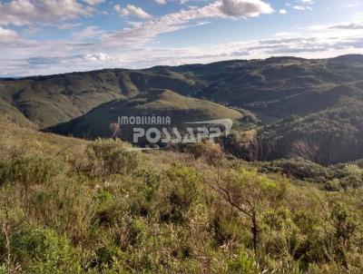 rea Rural para Venda, em Monte Alegre dos Campos, bairro Capela da Luz