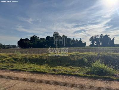Terreno para Venda, em Santa Rosa, bairro Amrica