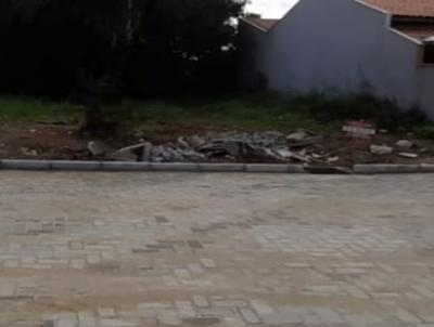 Terreno para Venda, em Barra Velha, bairro QUINTA DOS AORIANOS