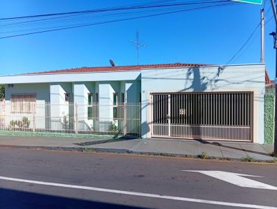imagem-miniatura