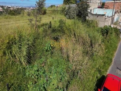 Terreno para Venda, em , bairro Cruzeiro do Sul