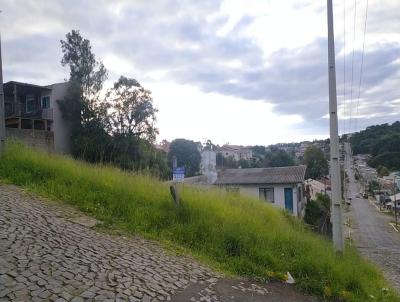 Lote para Venda, em Curitibanos, bairro So Luiz