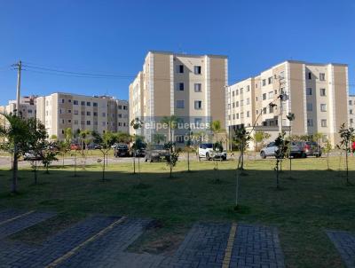 imagem-miniatura