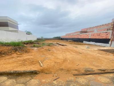 Lote para Venda, em Colatina, bairro Padre Jos de Anchieta