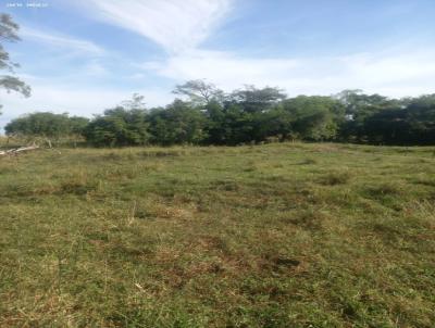 rea Rural para Venda, em Horizontina, bairro BELA VISTA