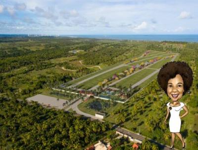 imagem-miniatura