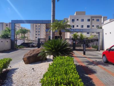 Apartamento para Locao, em Londrina, bairro Gleba Ribeiro Limeiro, 2 dormitrios, 1 banheiro, 1 vaga