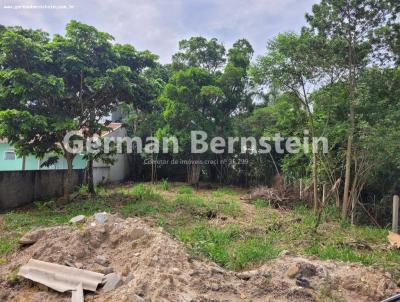 Terreno em Praia para Venda, em Bombinhas, bairro Morrinhos