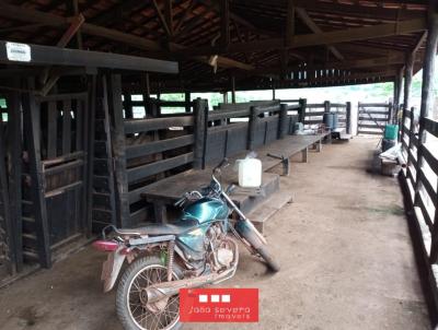 Fazenda para Venda, em Araguaiana, bairro 