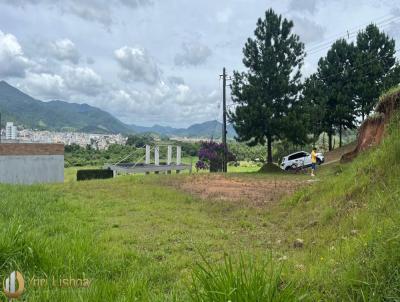 Terreno para Venda, em Camboriú, bairro CENTRO