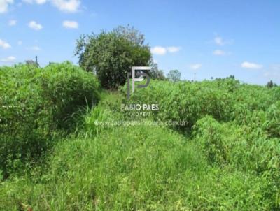 Fazenda para Venda, em , bairro Papucaia