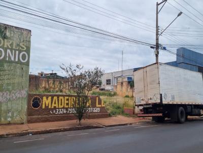 Terreno para Venda, em Assis, bairro Centro