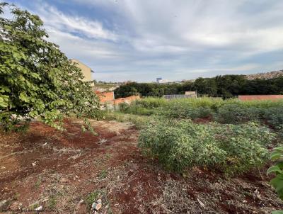 Terreno para Venda, em Cornlio Procpio, bairro Jardim Veneza