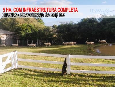 Chcara para Venda, em Encruzilhada do Sul, bairro Campo da Aviao