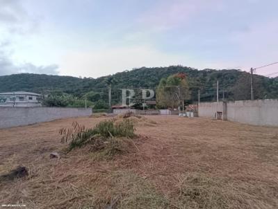 Terreno para Venda, em , bairro Albuquerque