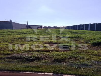 Terreno para Venda, em So Carlos, bairro JARDIM ALVORADA