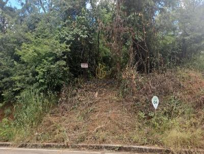 Lote em Condomnio Fechado para Venda, em Matozinhos, bairro Floresta