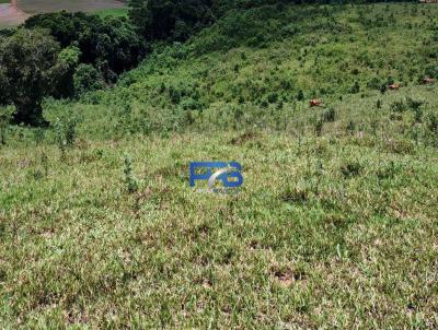 Terreno Rural para Venda, em Morungaba, bairro Feital