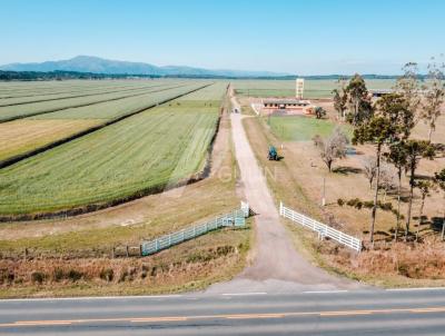 Fazenda para Venda, em Tijucas do Sul, bairro