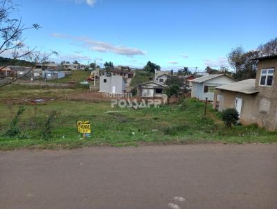 imagem-miniatura