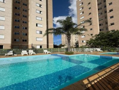 imagem-miniatura