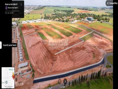 imagem-miniatura