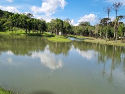 Stio para Venda, em Rio Negro, bairro Barra Grande