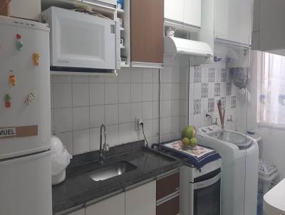imagem-miniatura