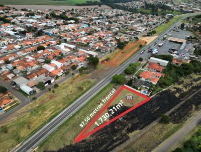 Terreno Comercial para Venda, em , bairro Margens da BR-092 - Parigot de Souza
