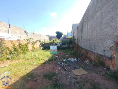 Terreno para Venda, em Alfenas, bairro Vila Santa Edwirges
