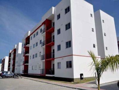 imagem-miniatura