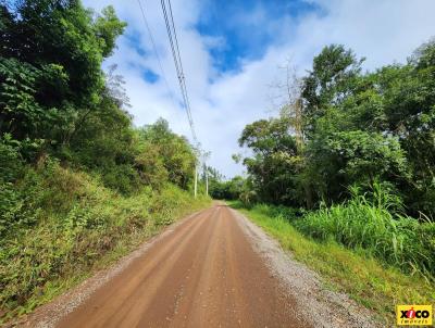 Stio / Chcara para Venda, em Nova Petrpolis, bairro So Jac
