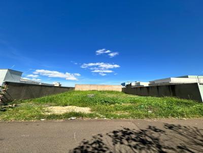 imagem-miniatura