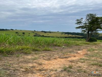 Stio / Chcara para Venda, em Tatu, bairro Queimador do Meio